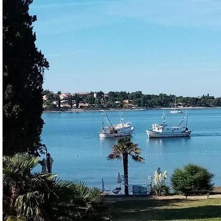 Apartment Villa Angelina, 70M From The Beach, Free Parking Novigrad  Ngoại thất bức ảnh