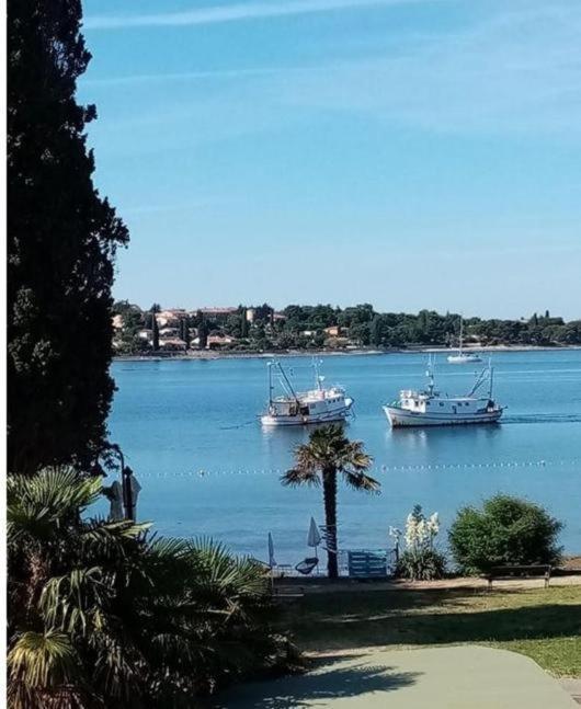 Apartment Villa Angelina, 70M From The Beach, Free Parking Novigrad  Ngoại thất bức ảnh