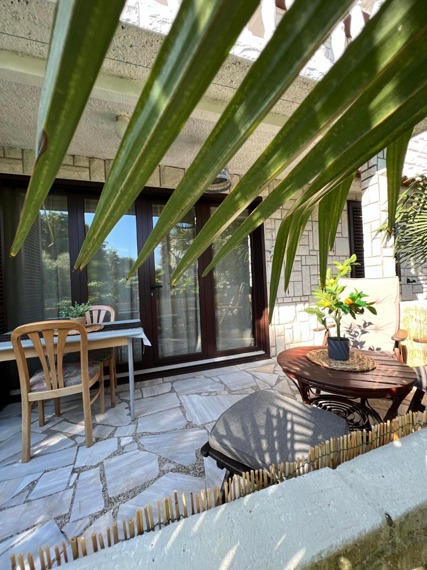 Apartment Villa Angelina, 70M From The Beach, Free Parking Novigrad  Ngoại thất bức ảnh
